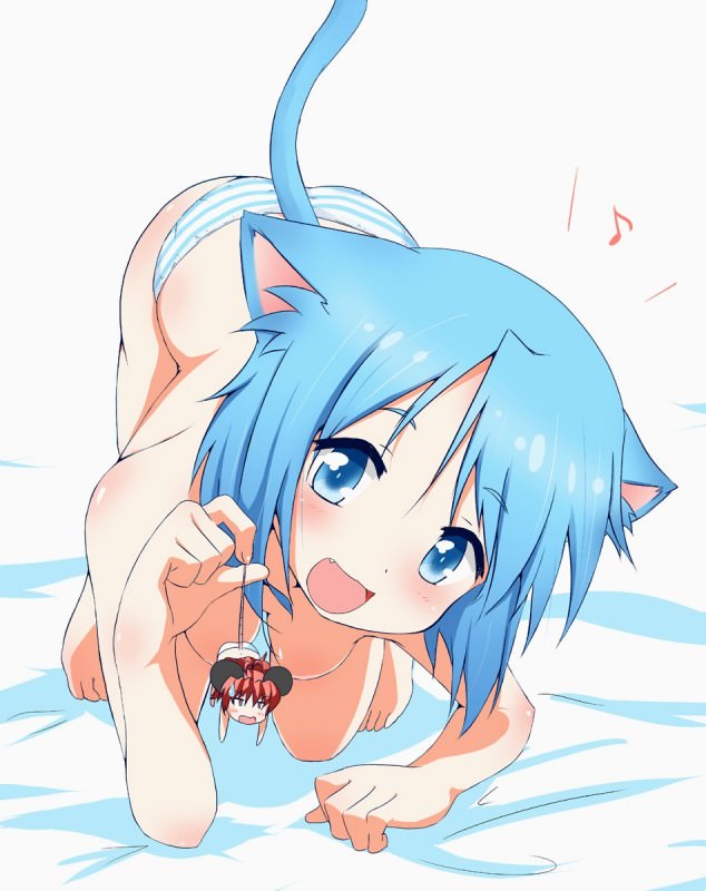  ,  ,    ,      .       ,       
